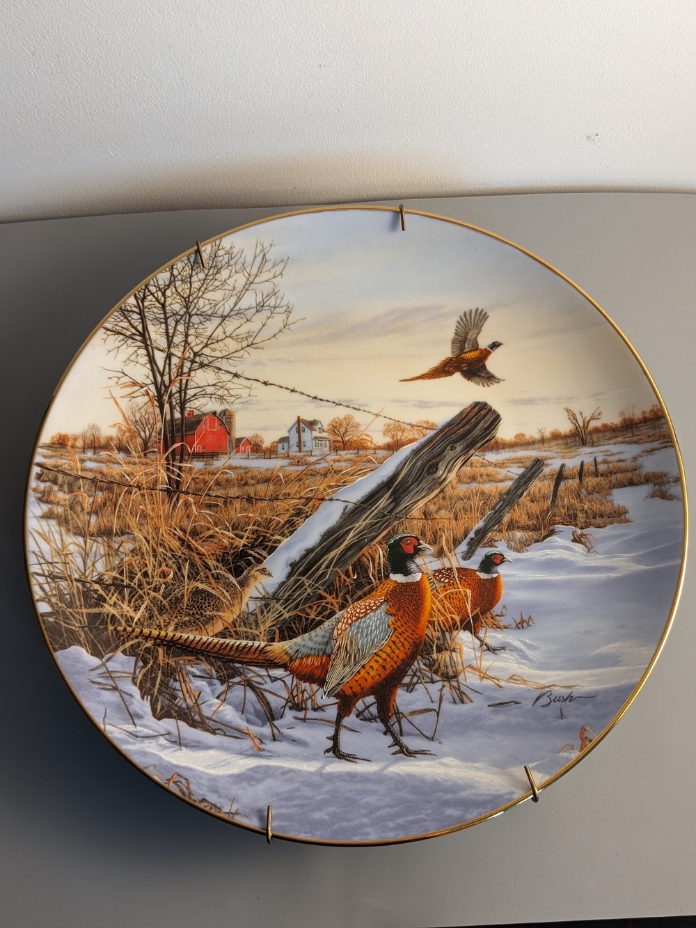 Vintage Darrell Bush Plate Winter Colors Ring Necked Pheasant Fine Birds 1991